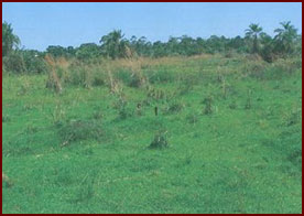 site1