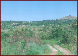 site3